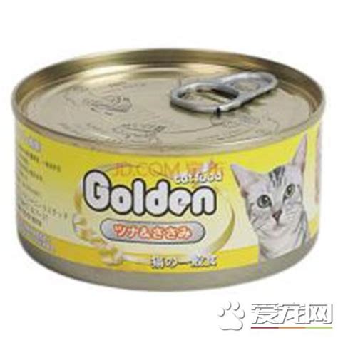 貓 可以 吃 狗 罐頭 嗎